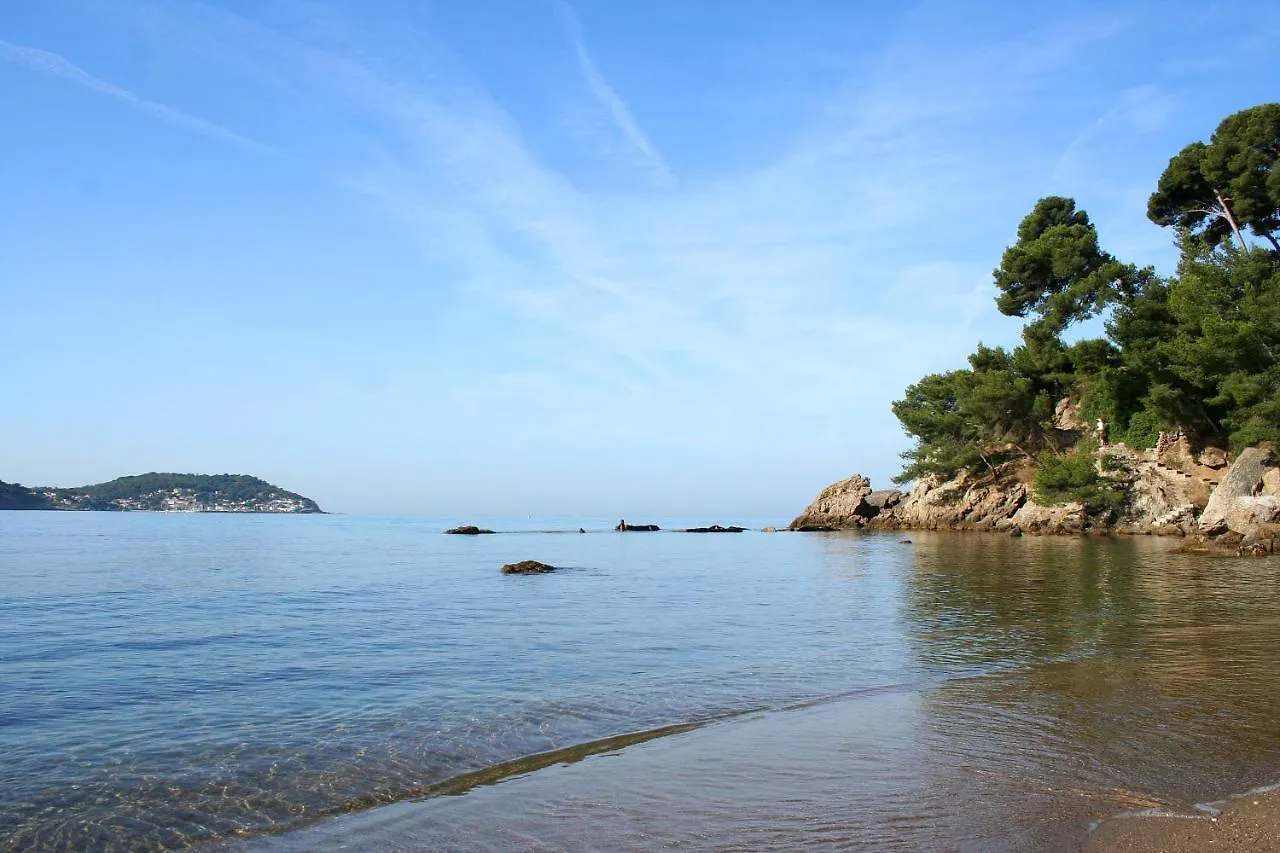 Magnifique Petit Cocon Bord De Mer Le Pradet Apartment